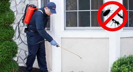 Kozluk Dezenfeksiyon böcek ilaçlama ve haşere kontrolü — ilaclama-tr.com